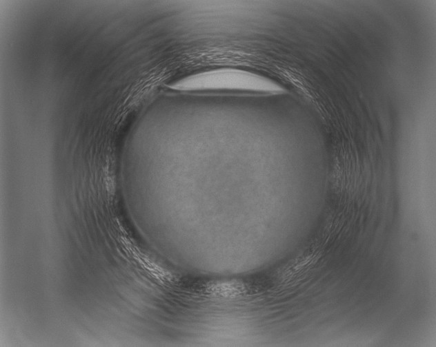 X0000052560402200507221441