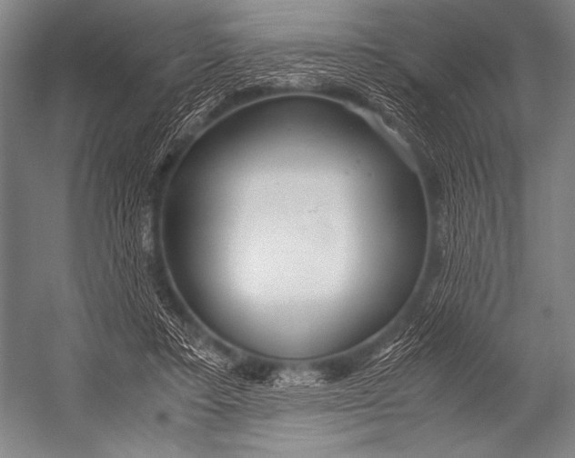 X0000052560403200507221441