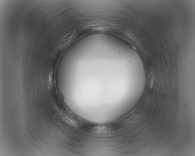 X0000052560406200507221441