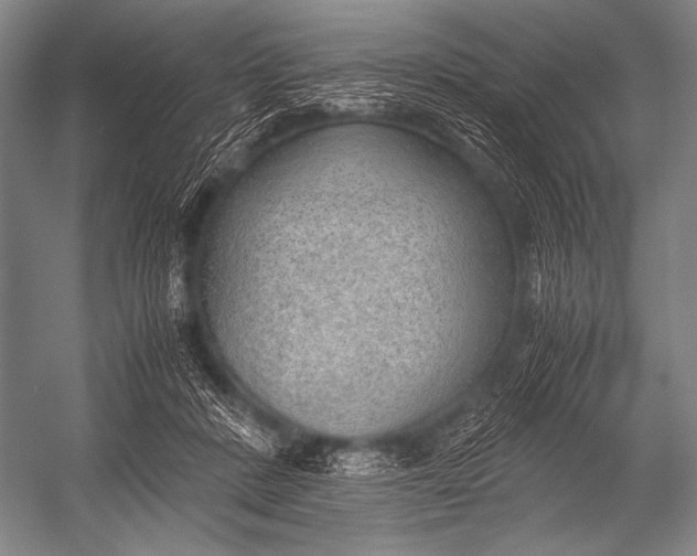 X0000052560408200507221441