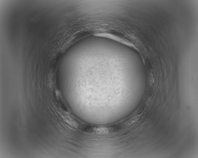 X0000052560409200507221441