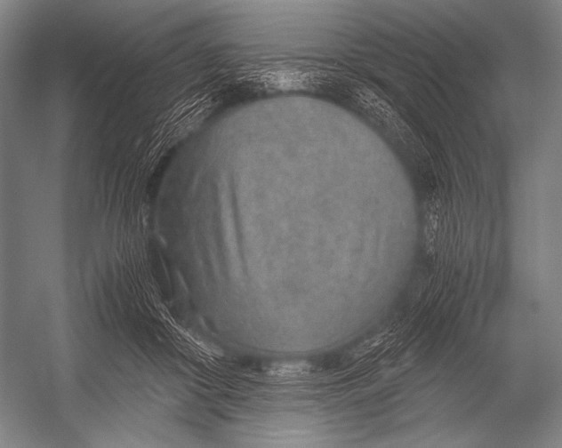 X0000052560410200507221441