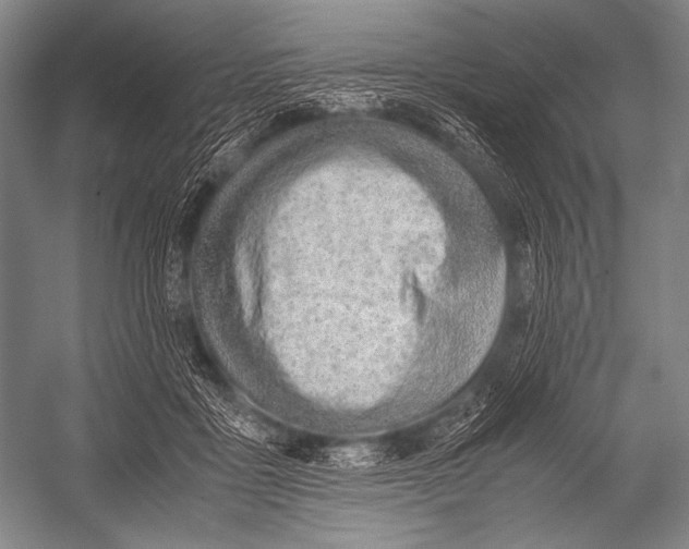 X0000052560411200507221441