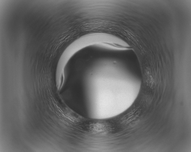 X0000052560412200507221441