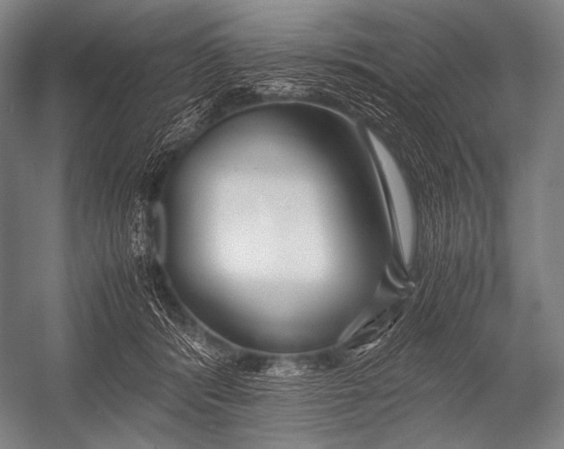 X0000052560416200507221441