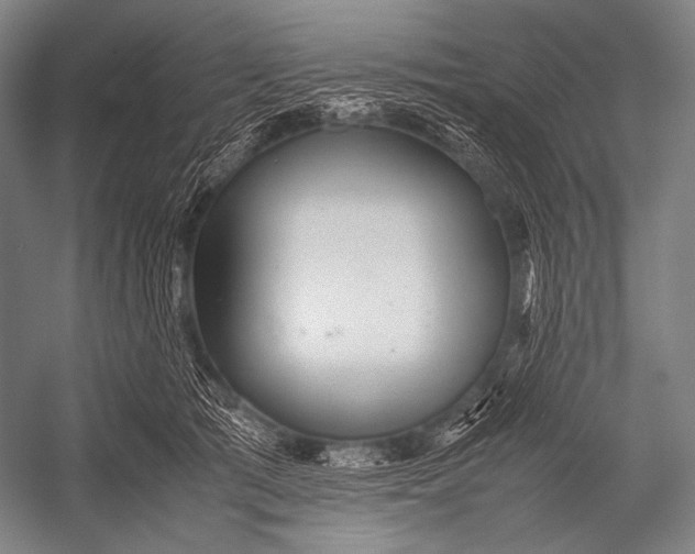 X0000052560417200507221441