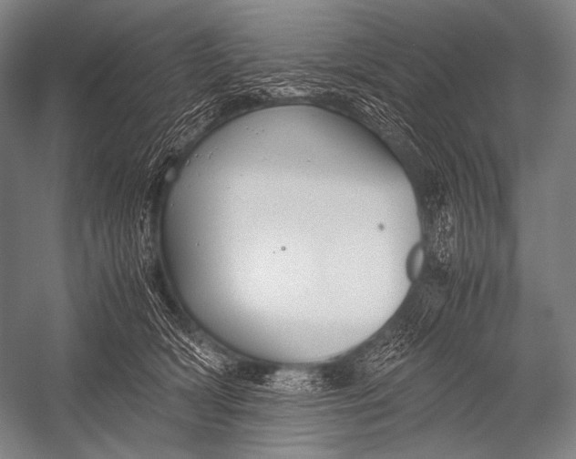 X0000052560418200507221441