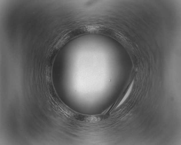 X0000052560421200507221441