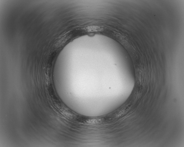 X0000052560422200507221441