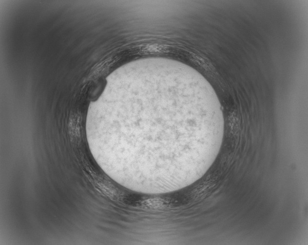 X0000052560423200507221441