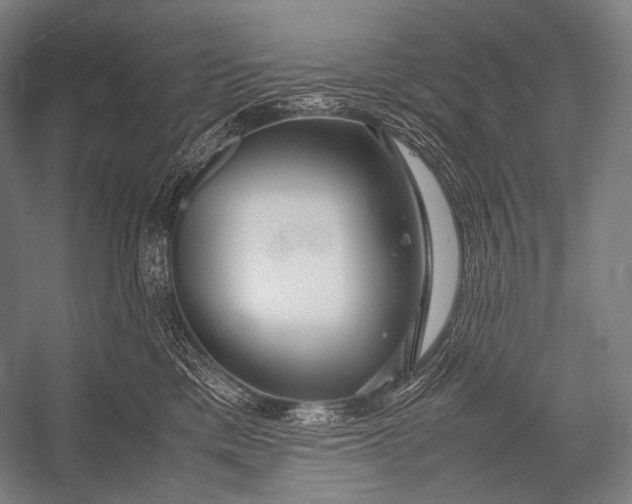 X0000052560425200507221441