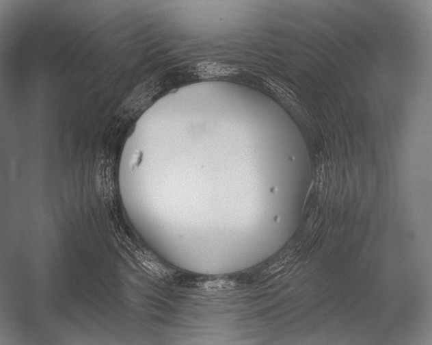 X0000052560426200507221441