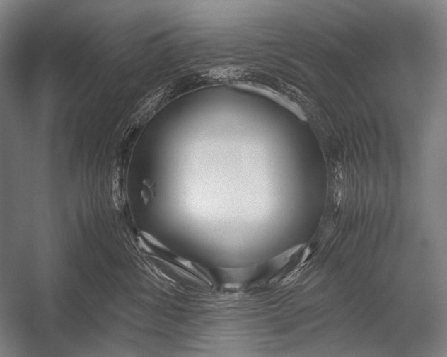 X0000052560428200507221441