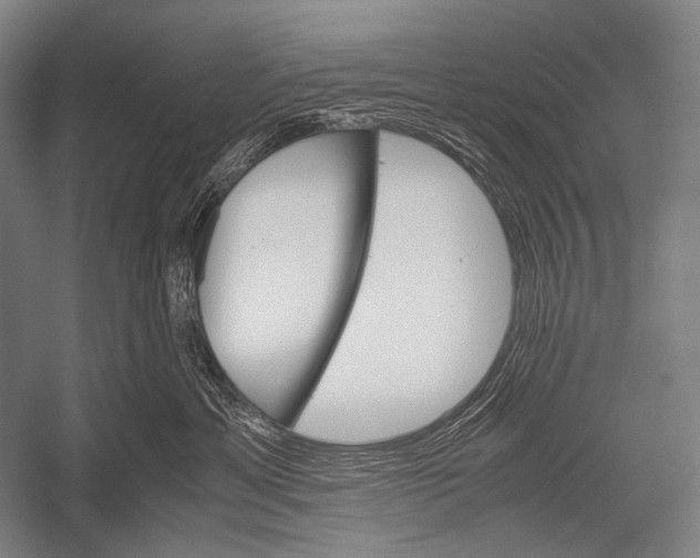 X0000052560429200507221441