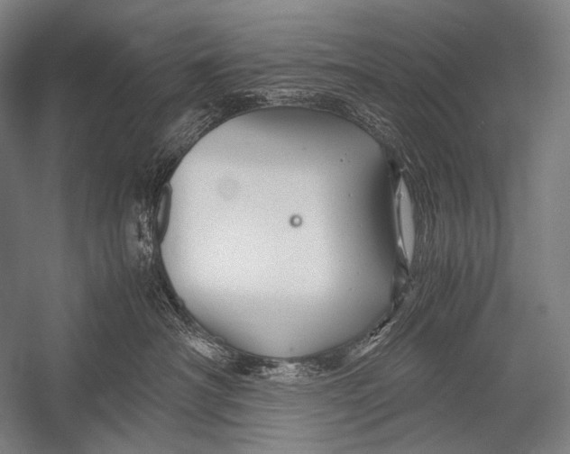 X0000052560430200507221441