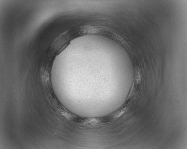X0000052560431200507221441