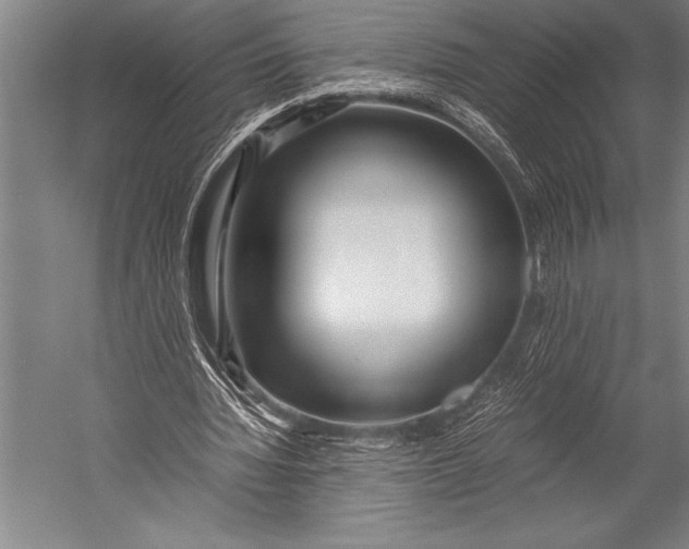 X0000052560436200507221440