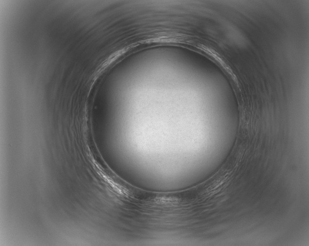 X0000052560437200507221440
