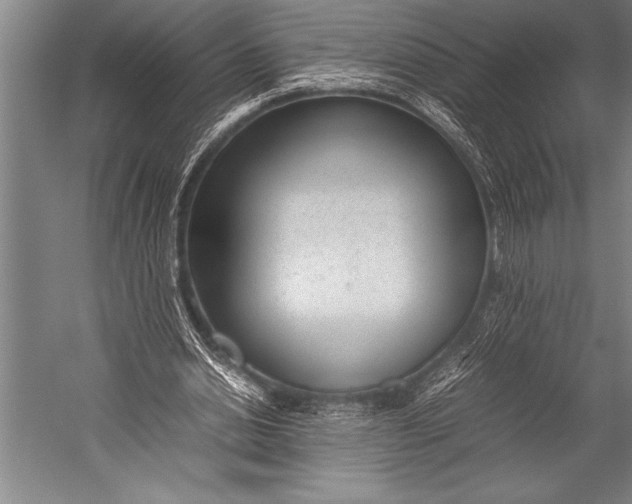 X0000052560438200507221440