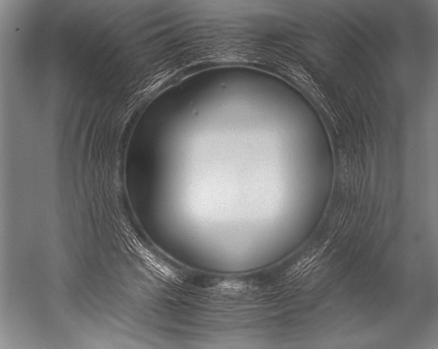 X0000052560441200507221440