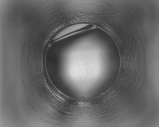 X0000052560442200507221440