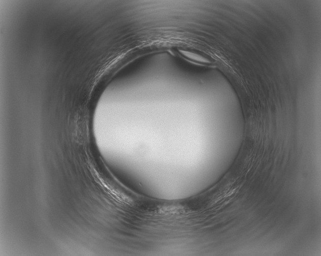 X0000052560446200507221440