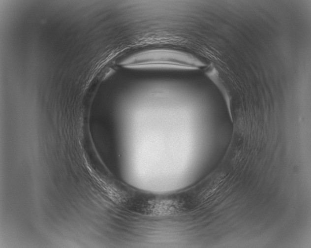 X0000052560448200507221440
