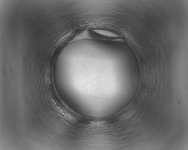 X0000052560450200507221440