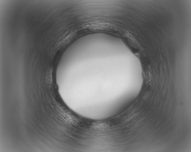 X0000052560454200507221440