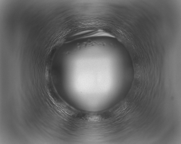 X0000052560456200507221440