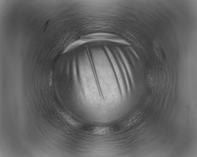 X0000052560458200507221440