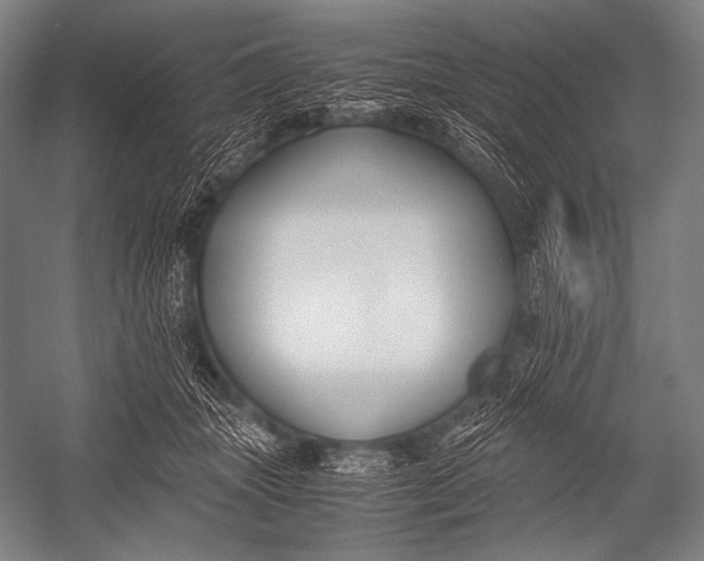 X0000052560463200507221440