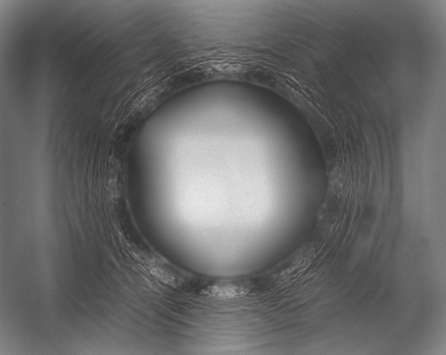 X0000052560464200507221440