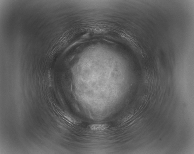 X0000052560465200507221440