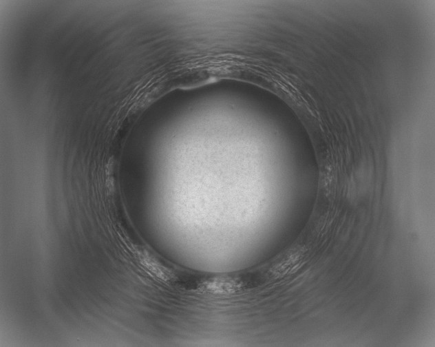 X0000052560466200507221440