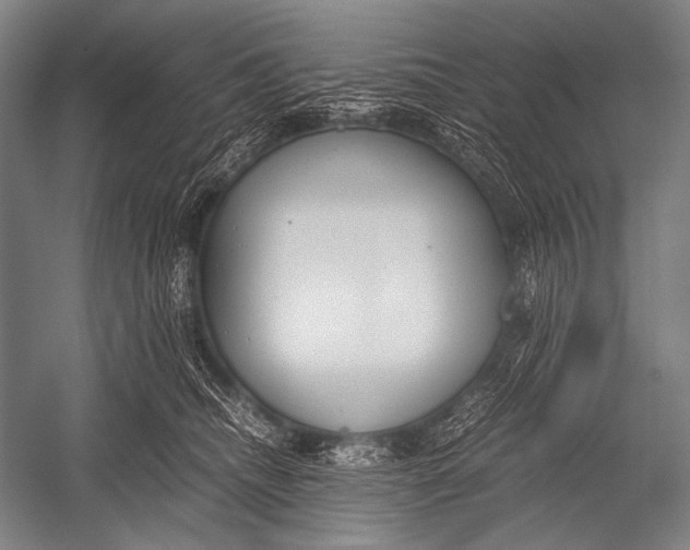 X0000052560468200507221440