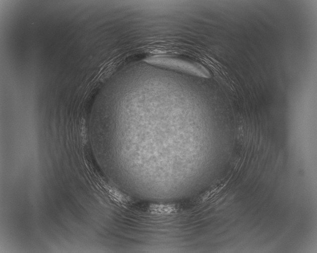 X0000052560469200507221440