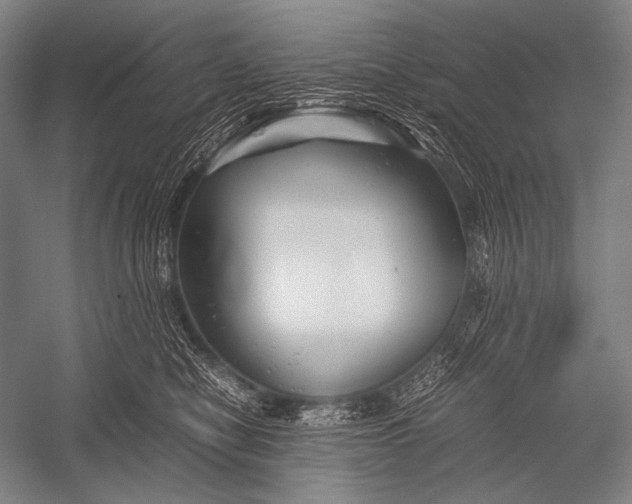 X0000052560470200507221440