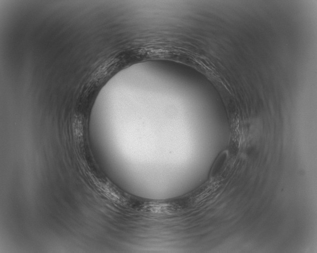 X0000052560472200507221440