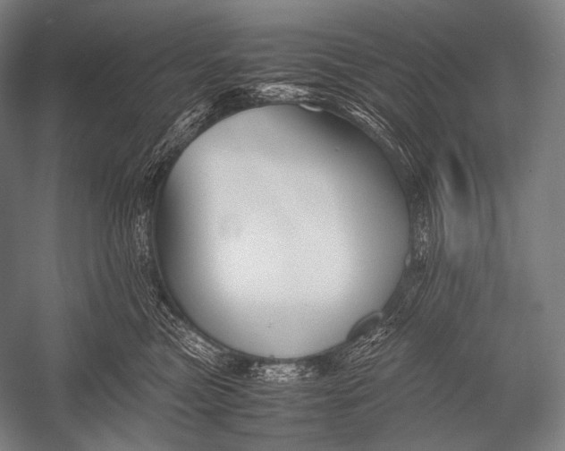X0000052560473200507221440