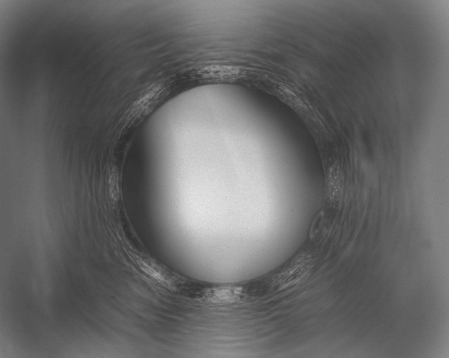 X0000052560474200507221440