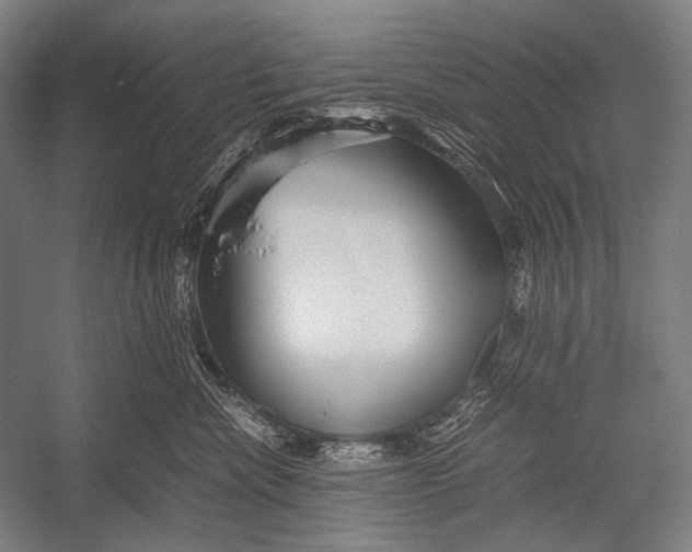 X0000052560476200507221440