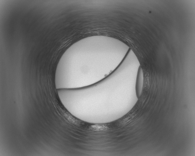X0000052560477200507221440