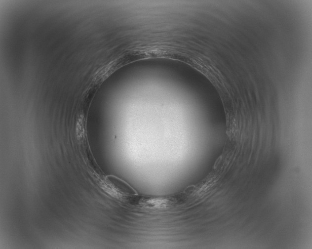X0000052560478200507221440