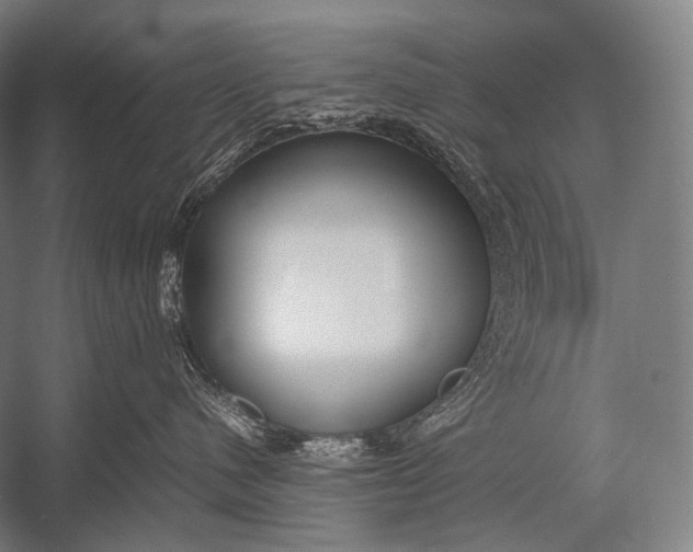 X0000052560480200507221440