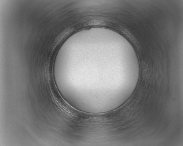 X0000052560482200507221440