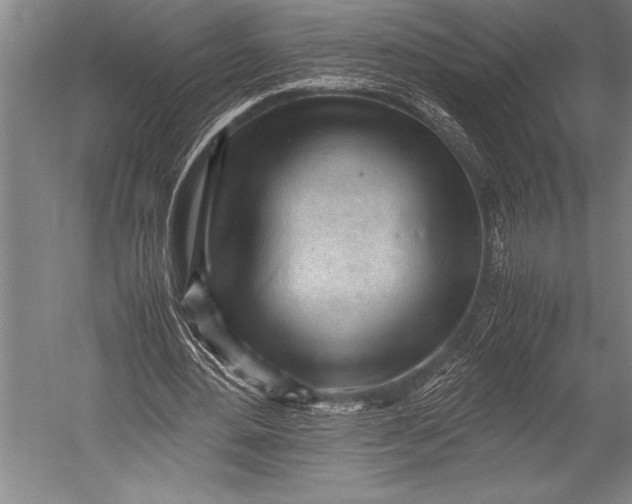 X0000052560484200507221440