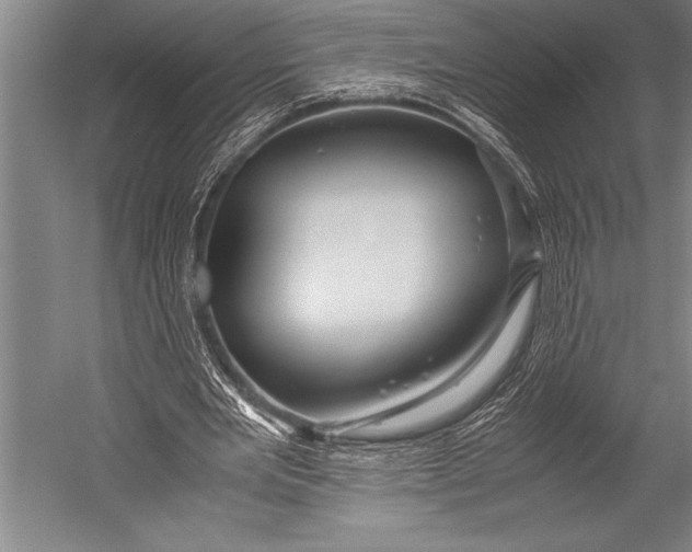 X0000052560485200507221440