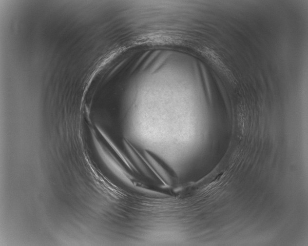 X0000052560488200507221440