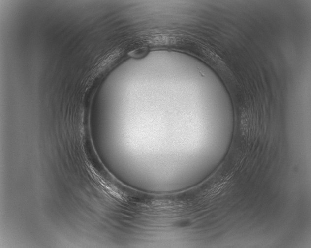 X0000052560490200507221440